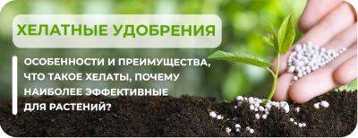 Хелатные удобрения: особенности и преимущества – что такое хелаты, почему наиболее эффективные для растений - yaskravaklumba.com.ua