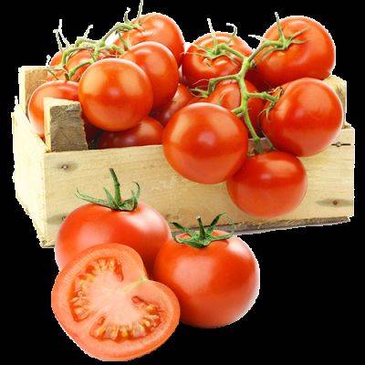 Лучшие сорта высокорослых томатов для грунта - yaskravaklumba.com.ua