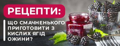 Рецепты: что вкусного приготовить с кислых ягод ежевики - yaskravaklumba.com.ua