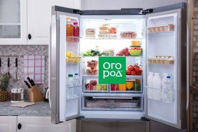 Сколько хранить в холодильнике яйцо, грибы, сыр, молоко и другие продукты - ogorod.ru