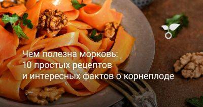 Чем полезна морковь: 10 простых рецептов и интересных фактов о корнеплоде - botanichka.ru - Афганистан