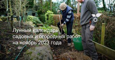 Лунный календарь садовых и огородных работ на ноябрь 2023 года - botanichka.ru