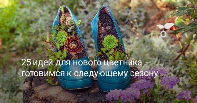 25 идей для нового цветника — готовимся к следующему сезону - botanichka.ru