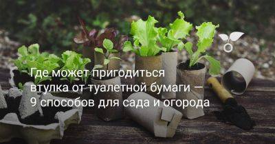 Где пригодится втулка от туалетной бумаги — 9 способов для сада и огорода - botanichka.ru