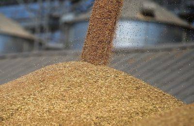 Украина вводит лицензирование экспорта зерна в пять стран Восточной Европы - seeds.org.ua - Украина - Польша - Чехия - Венгрия - Румыния