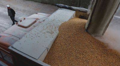 Зерновому рынку в октябре грозит логистический коллапс - agroportal.ua - Украина