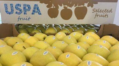 Украинских фруктов станет больше в Нигерии - agroportal.ua