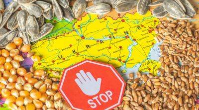 Украина поставила на паузу иск в ВТО на европейские страны - agroportal.ua - Украина - Польша - Венгрия - Евросоюз