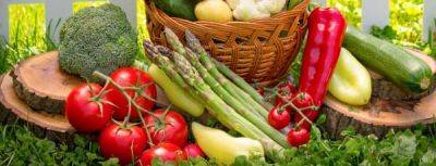 Календарь посадки овощей: сроки посева и высадки рассады по месяцам - gradinamax.com.ua - Украина
