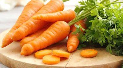 5 способов посеять морковь: надежные, проверенные методы - gradinamax.com.ua