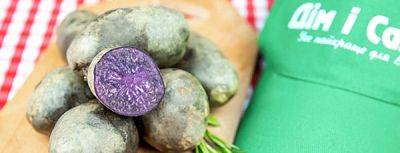 Особенности выращивания фиолетового картофеля - gradinamax.com.ua - Париж