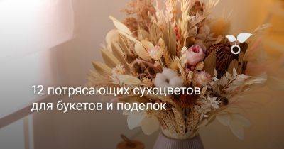 12 потрясающих сухоцветов для букетов и поделок - botanichka.ru