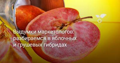 Выдумки маркетологов: разбираемся в яблочных и грушевых гибридах - botanichka.ru