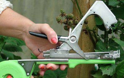 Топ-5 современных инструментов для садоводства - remstd.ru