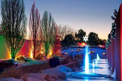 Красота зимнего сада — деревья и кустарники - remstd.ru