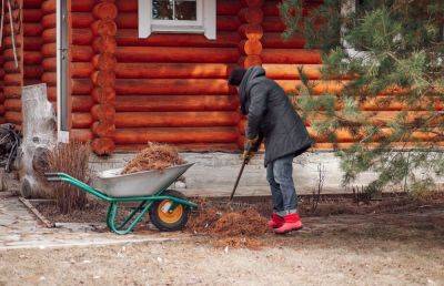 Что делать на даче в ноябре: план работ в саду и огороде - ogorod.ru