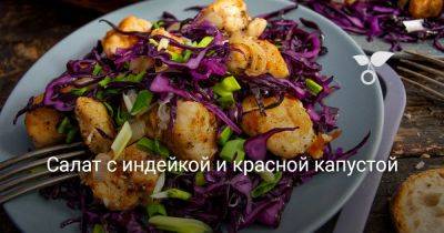 Салат с индейкой и красной капустой - botanichka.ru