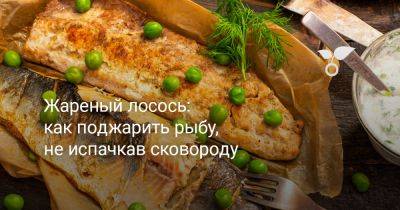 Жареный лосось: как поджарить рыбу, не испачкав сковороду - botanichka.ru
