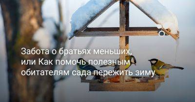 Забота о братьях меньших, или Как помочь полезным обитателям сада пережить зиму - botanichka.ru