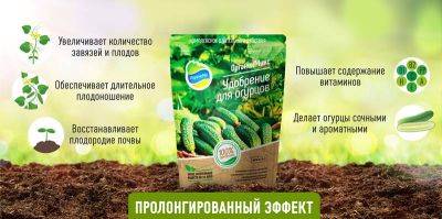 Подкормка огурцов: проверенные безопасные удобрения для лучшего урожая - organic-mix.ru - Россия