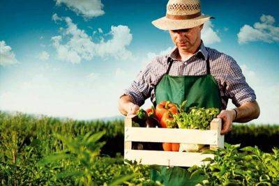 Как стать фермером: что нужно для старта, где открыть хозяйство - organic-mix.ru