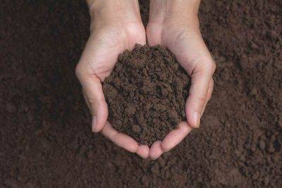 Как определить тип почвы на вашем участке - organic-mix.ru