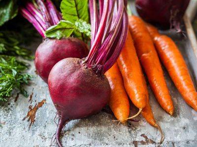 Когда убирать свеклу и морковь с грядки: благоприятные дни, правила хранения - organic-mix.ru