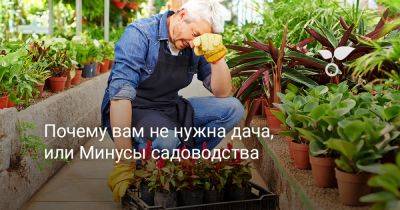 Почему вам не нужна дача, или Минусы садоводства - botanichka.ru
