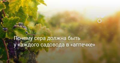 Почему сера должна быть у каждого садовода в «аптечке» - botanichka.ru