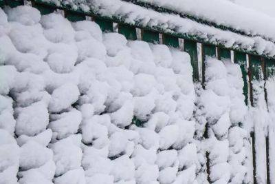Анастасия Коврижных - 5 видов конструкций снегозадержания на даче: умный агротехнический приём - belnovosti.by