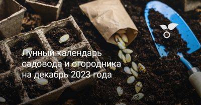 Лунный календарь садовода и огородника на декабрь 2023 года - botanichka.ru