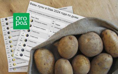 Выращивание картофеля по Лунному календарю в 2024 году - ogorod.ru