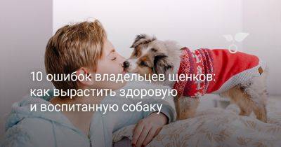 10 ошибок владельцев щенков: как вырастить здоровую и воспитанную собаку - botanichka.ru