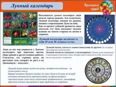 Лунный календарь пересадки комнатных цветов на 2017 год - fikus.guru