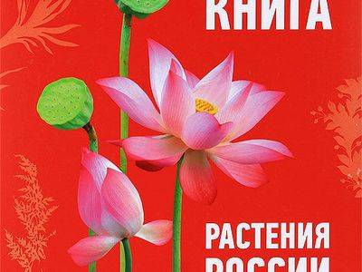 Растения, которые занесены в Красную книгу России - fikus.guru - Россия - Швейцария