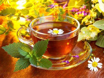 Травы для чая: виды, заготовка и польза - fikus.guru