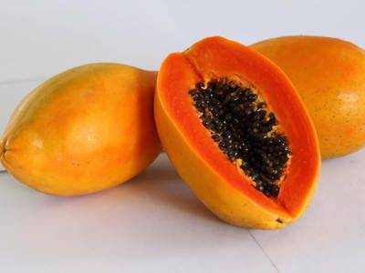 Где растет и как выглядит папайя, полезные свойства фрукта - fikus.guru - Мексика