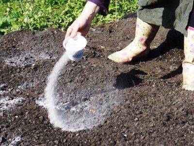 Как раскислить почву на огороде весной перед посадкой - fikus.guru