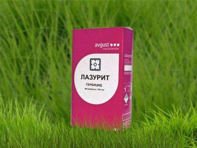 Применение гербицида «Лазурит» от сорняков на картошке - sornyakov.net - Россия
