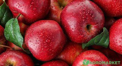 Запеченные яблоки: подборка рецептов - agro-market.net