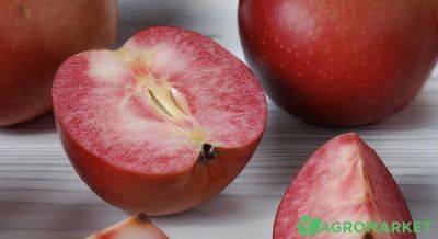 Как вырастить яблони с красной мякотью - agro-market.net - Украина