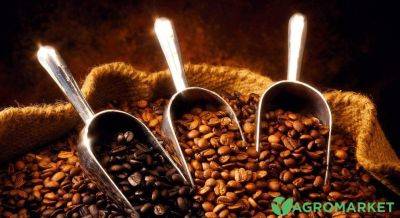 Кофе оптом: какой выбрать и насколько делать запас - agro-market.net - Индия - Эфиопия - Колумбия - Бразилия - Вьетнам