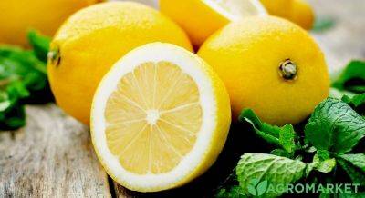 Лимон с медом на зиму - agro-market.net
