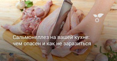 Сальмонеллез на вашей кухне: чем опасен и как не заразиться - botanichka.ru