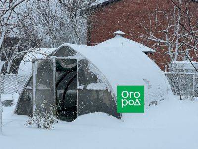 5 обязательных дел в теплице зимой – позаботьтесь о будущем урожае - ogorod.ru