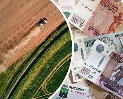 Фермерам станет проще: как изменятся меры государственной поддержки в 2024 году - rynok-apk.ru - Россия