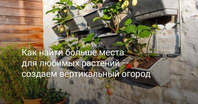 Как найти больше места для любимых растений — создаем вертикальный огород - botanichka.ru