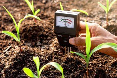 Приборы для измерения кислотности почвы и воды – какие бывают и как использовать - ogorod.ru