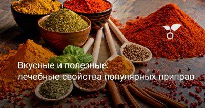 Вкусные и полезные: лечебные свойства популярных приправ - botanichka.ru - Россия