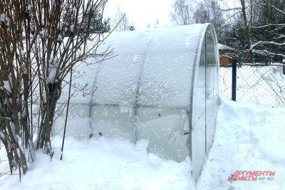 Какую снеговую нагрузку могут выдержать теплицы? - aif.ru